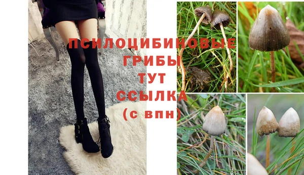эйфоретик Алзамай
