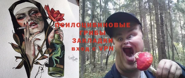 эйфоретик Алзамай