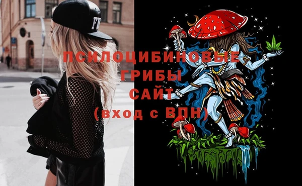 индика Абинск