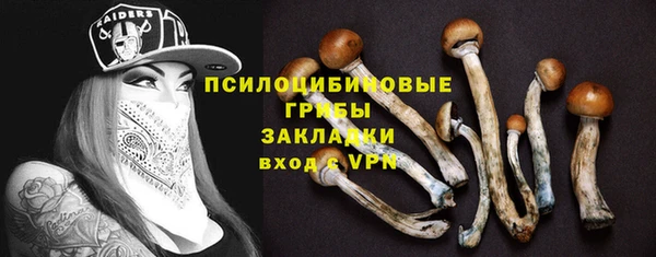 эйфоретик Алзамай