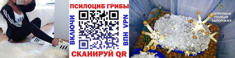 Псилоцибиновые грибы мухоморы  хочу наркоту  omg ссылка  Задонск 